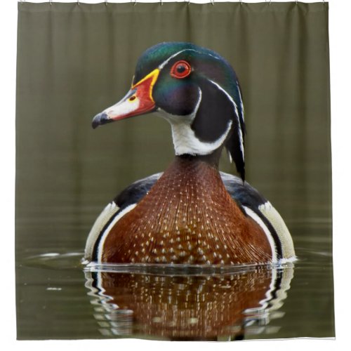 Wood Duck on Water Shower Curtain