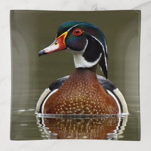 Wood Duck on Water Trinket Tray