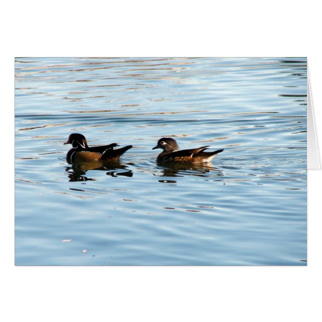 Wood Duck Pair Cards (Front Horizontal)