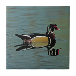 Wood Duck Photo Ceramic Tile