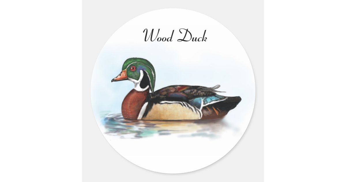 Wood Duck Sticker Zazzle