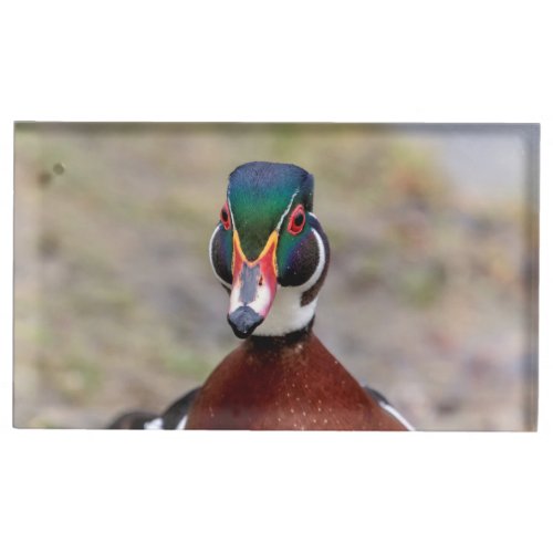 Wood Duck Table Number Holder