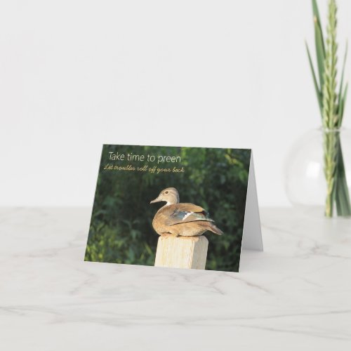 Wood Duck Take time to preen  Note Card