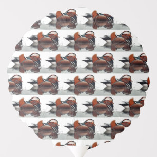 Wood Duck Thunder_Cove  Balloon