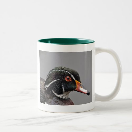 Wood Duck Two_Tone Mug Green