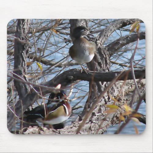 Wood Ducks in a Tree Mouse Pad