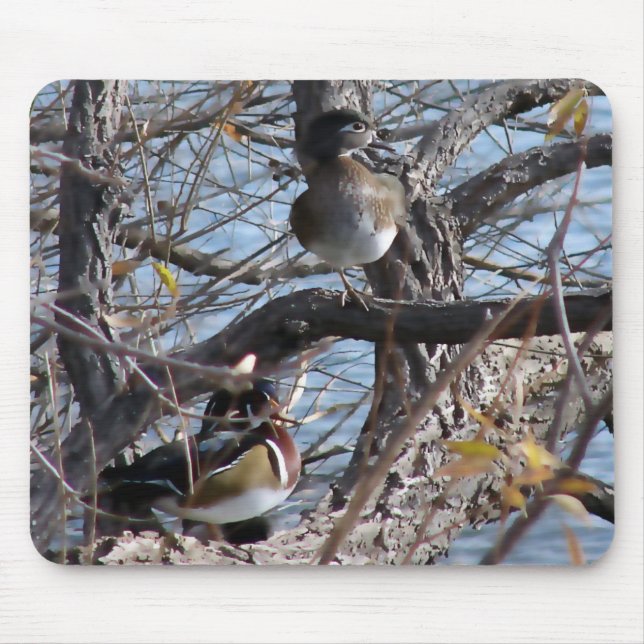 Wood Ducks in a Tree Mouse Pad (Front)