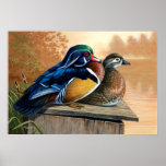 Wood Ducks On Nesting Box Painting 2 - Poster<br><div class="desc">An acrylic painting of two wood ducks sitting on a nesting box in the early morning with a misty pond in the background.</div>