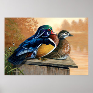 Wood Ducks On Nesting Box Painting 2 - Poster