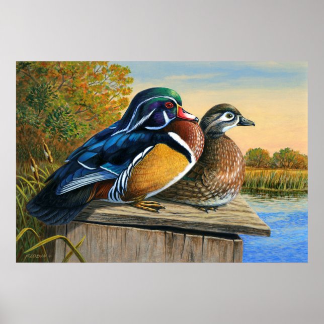 Wood Ducks On Nesting Box Painting - Poster (Front)