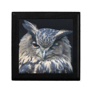 Wood eye is a watchful blinking owl gift box