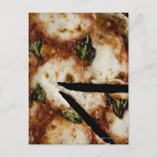 wood-fired cheese pizza postcard