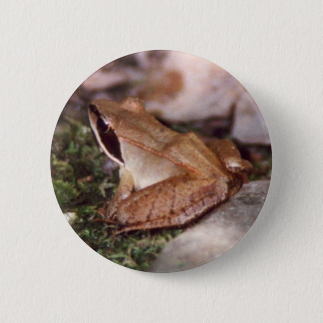 Wood Frog Pinback Button (Front)