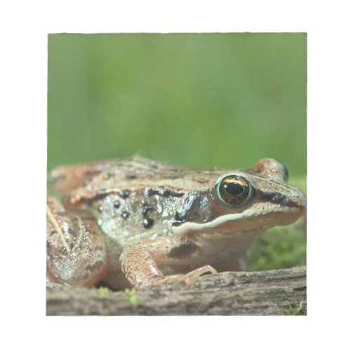 Wood frog Rana sylvatica Notepad