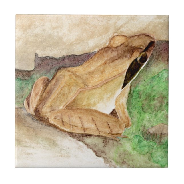 Wood Frog Watercolor Ceramic Tile (Front)