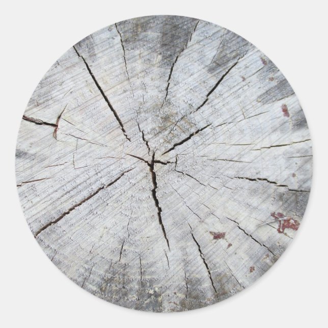 Wood Grain Gray Pine Tree Stump Photo Art 1 Classic Round Sticker (Front)