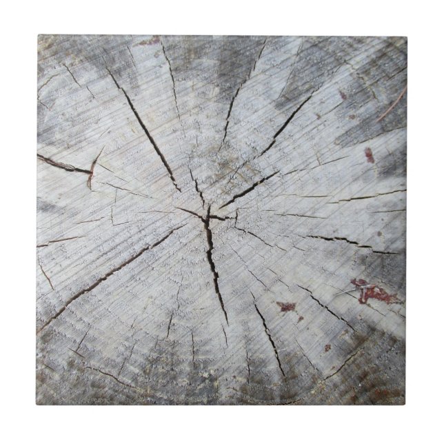 Wood Grain Gray Pine Tree Stump Photo Art 1 Tile (Front)