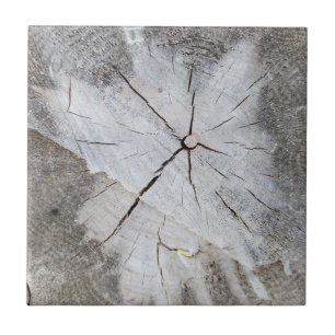 Wood Grain Gray Pine Tree Stump Photo Art 2 Tile