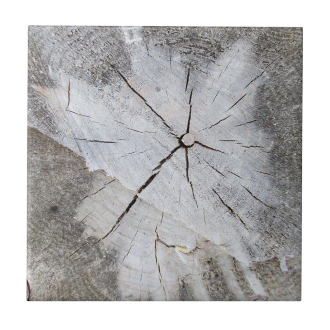 Wood Grain Gray Pine Tree Stump Photo Art 2 Tile (Front)