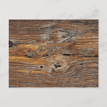 Wood Grain  Sheet Of Weathered Timber Postcard by inspirelove at Zazzle