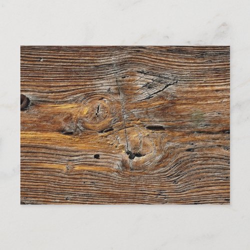 Wood grain sheet of weathered timber postcard