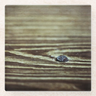 Wood Grain Texture by Shirley Taylor Glass Coaster