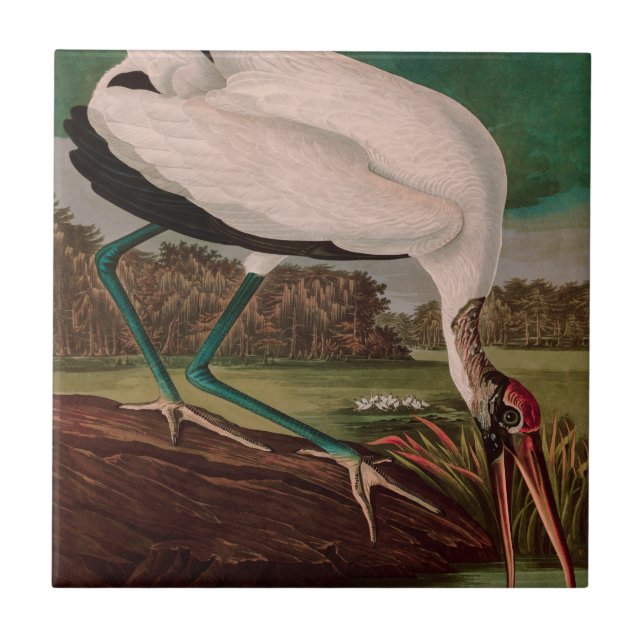 Wood Ibis Birds of America Audubon Print Ceramic Tile (Front)