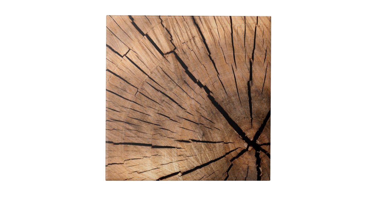 Wood Log Ceramic Tile | Zazzle
