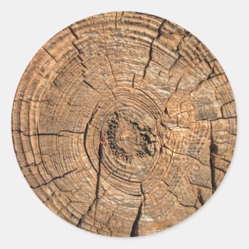 Wood Log Classic Round Sticker by The_Everything_Store at Zazzle