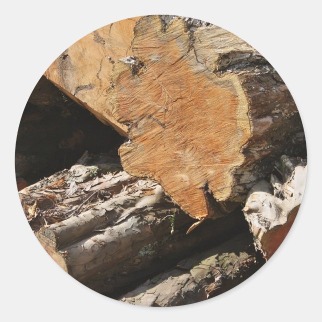 Wood Logs Stickers (Front)