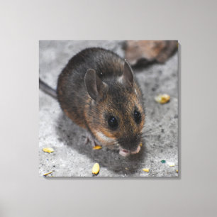 Wood Mouse  Canvas Print
