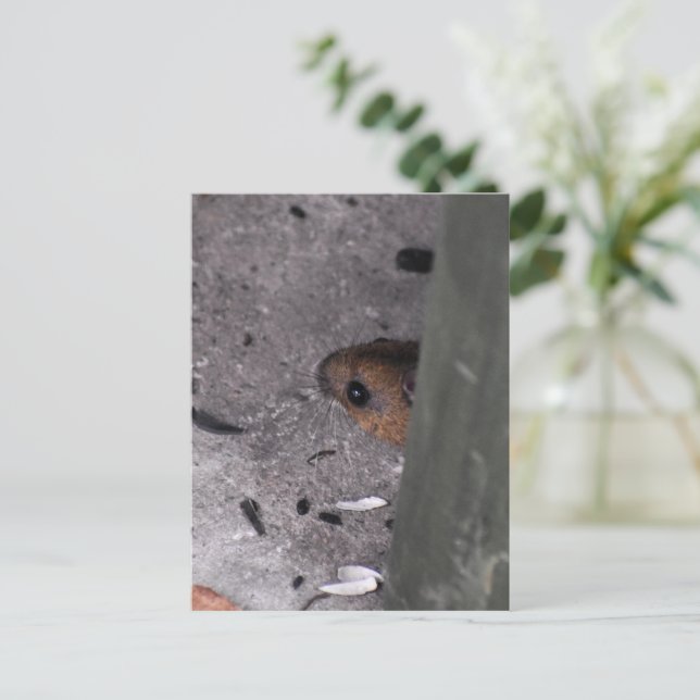 Wood Mouse  Postcard (Standing Front)