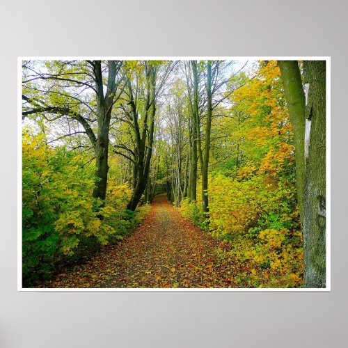 wood path through the trees poster FROM 899