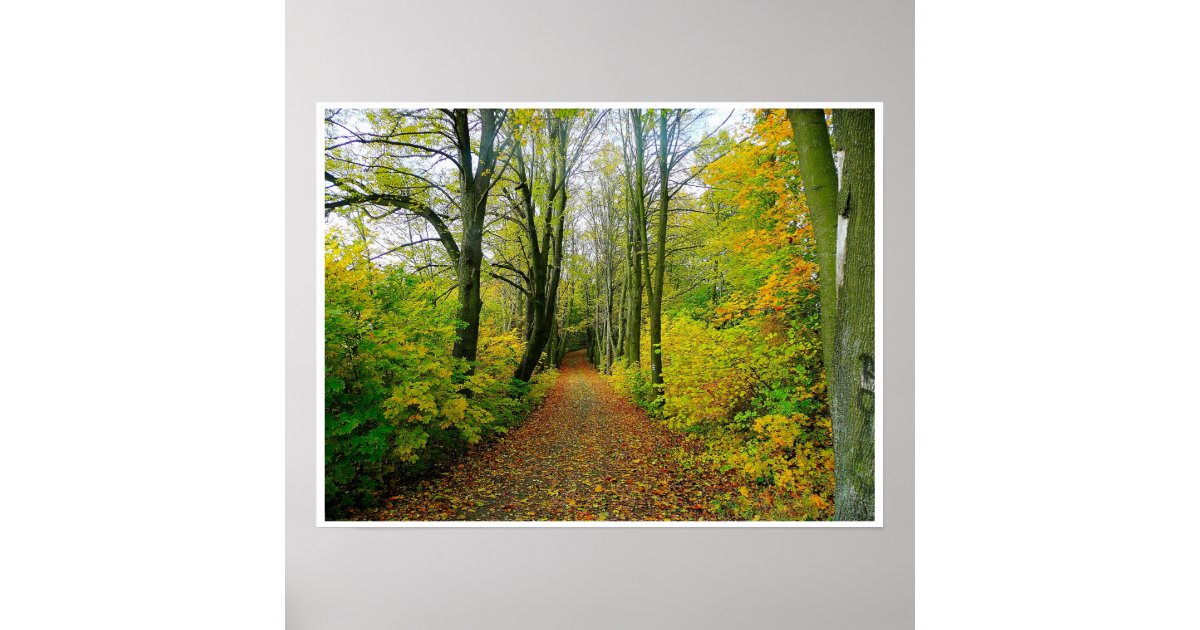 wood path through the trees poster FROM 8.99 | Zazzle