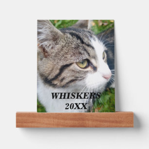 Wood picture ledge with custom pet cat photo image