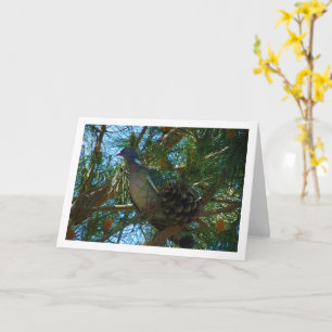 Wood Pigeon in Pine Tree Card