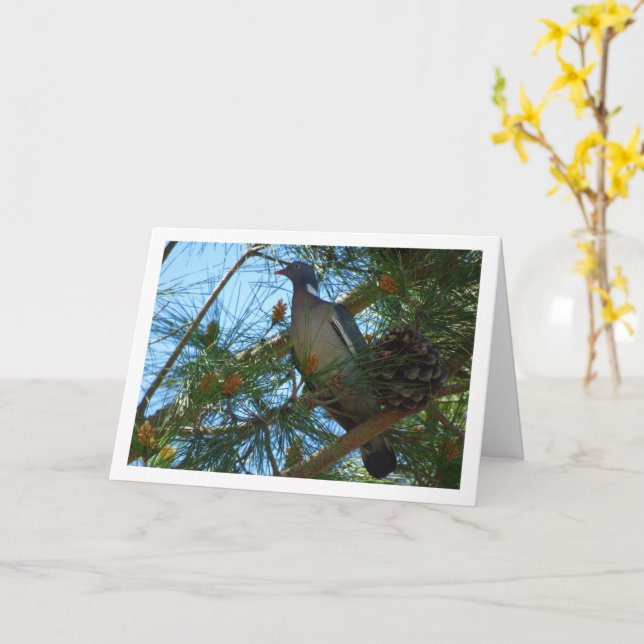 Wood Pigeon in Pine Tree Card (Yellow Flower)
