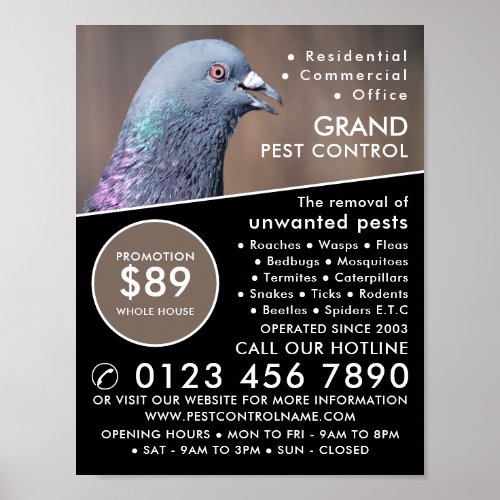 Wood Pigeon Pest Control Advertising Poster