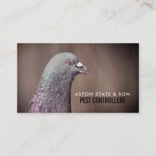 Wood Pigeon Pest Control Business Card