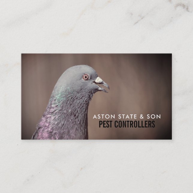 Wood Pigeon, Pest Control Business Card (Front)