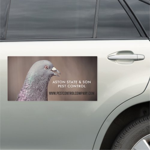 Wood Pigeon Pest Control Car Magnet