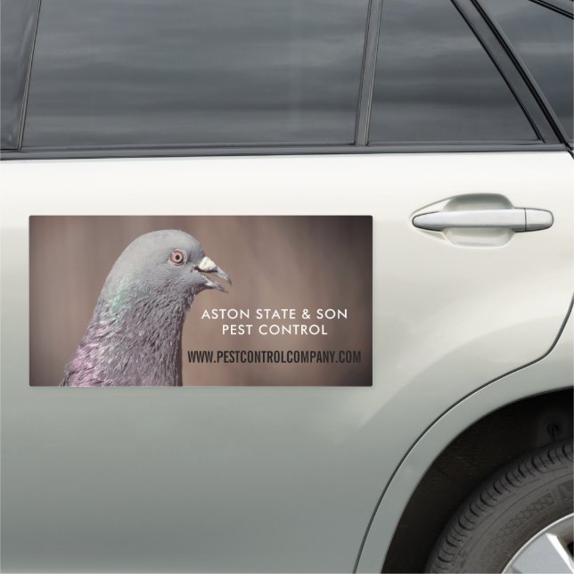 Wood Pigeon, Pest Control Car Magnet (In Situ)
