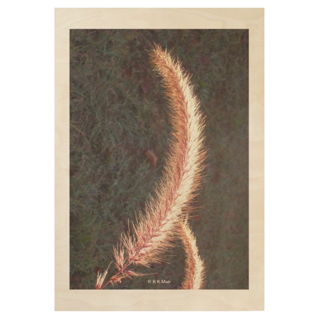 Wood Poster - Ornamental Grass