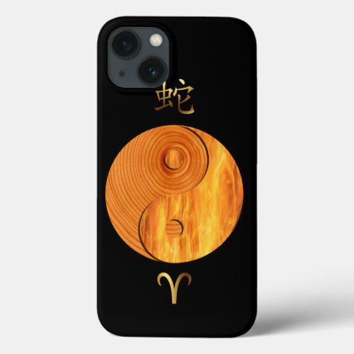 Wood Snake Year and Aries Fire sign case