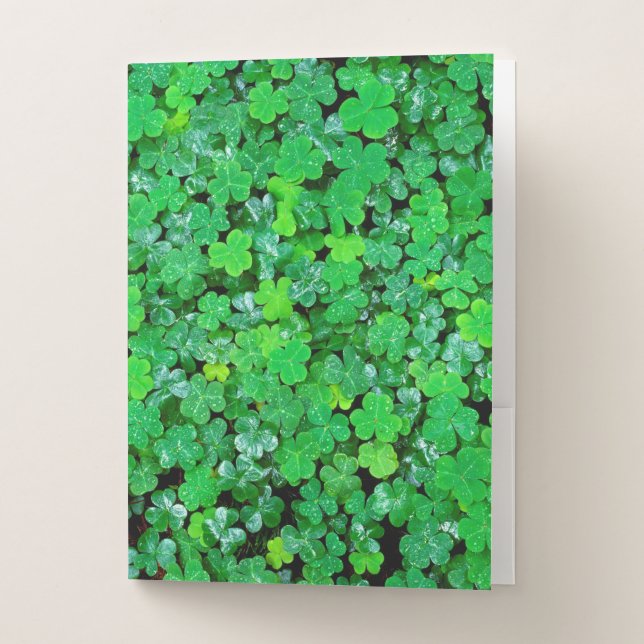 Wood Sorrel In Spring Pocket Folder (Front)