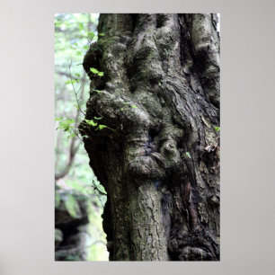 wood sprite poster