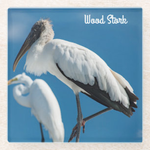 Wood Stork Glass Coaster