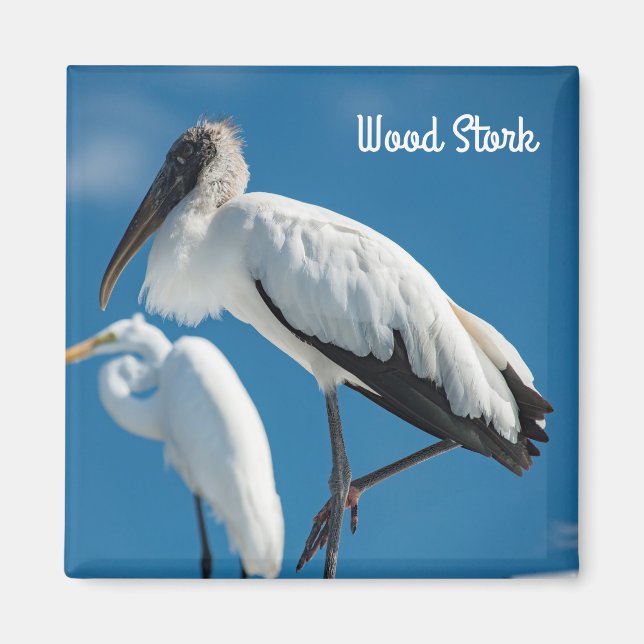 Wood Stork Magnet (Front)