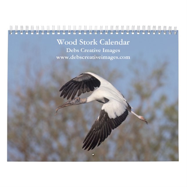 Wood Storks of Florida 2026 Calendar (Cover)