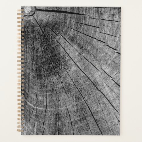 Wood Stump 85 x 11 Notebook